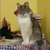 Отзыв от Ирина Лопатина